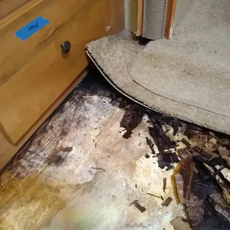 Wood Floor Water Damage in Purdy, MO